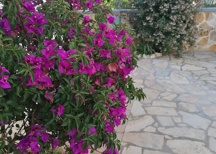 Appartement Megy Vir